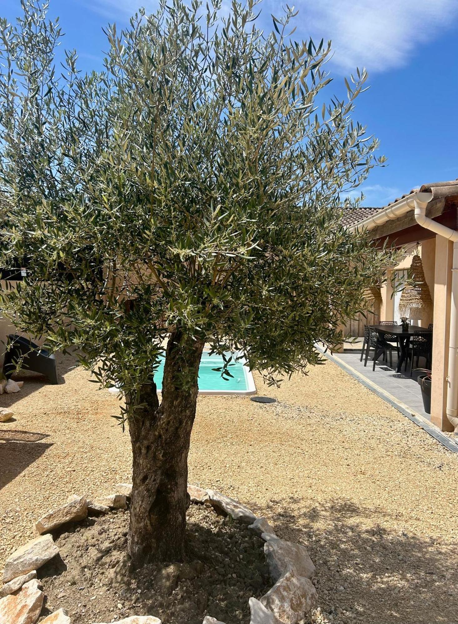 Maison Piscine & Spa Vallon Pont D'Arc المظهر الخارجي الصورة